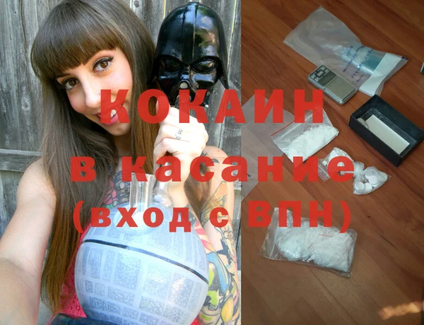 шишки Армянск