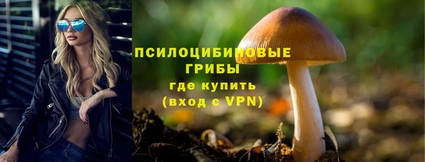 шишки Армянск