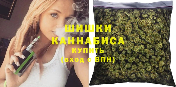 шишки Армянск