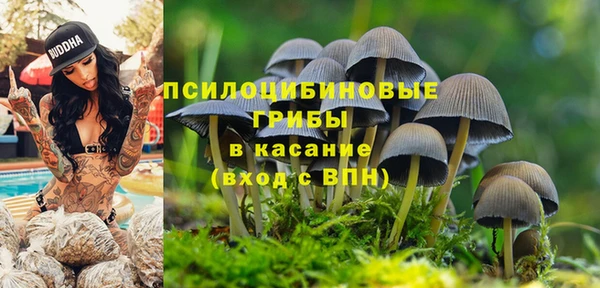 шишки Армянск