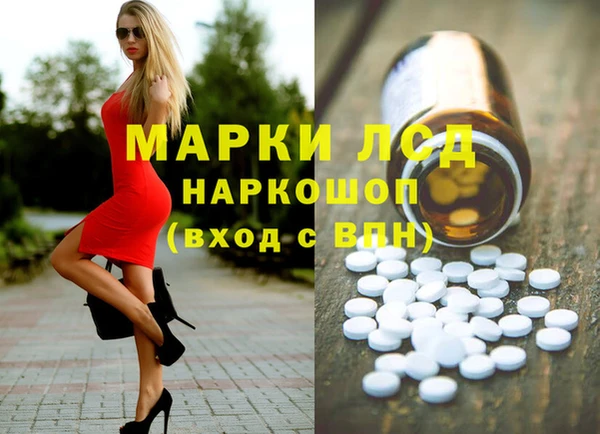 трава Аркадак