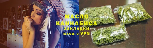 индика Протвино