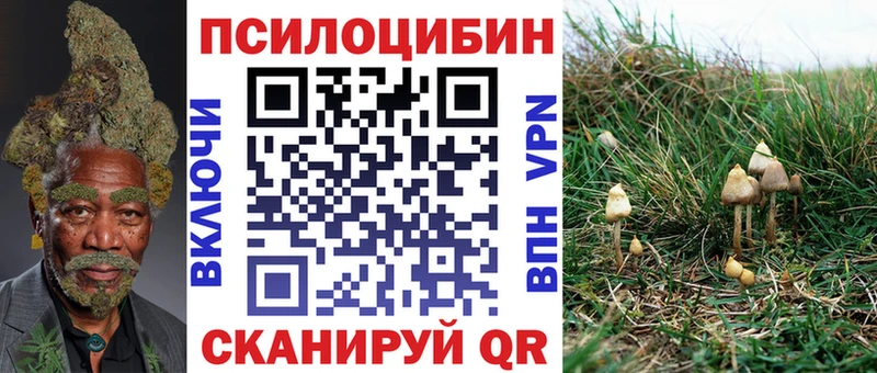 купить закладку  Таштагол  Псилоцибиновые грибы прущие грибы 